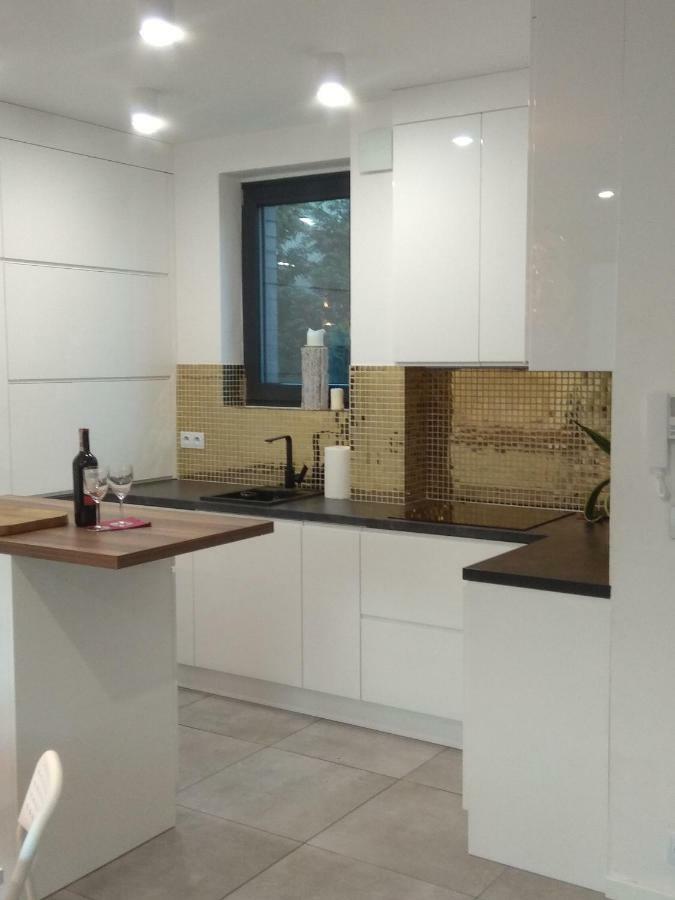 Luxury Apartment With Own Parking Chorzów Extérieur photo