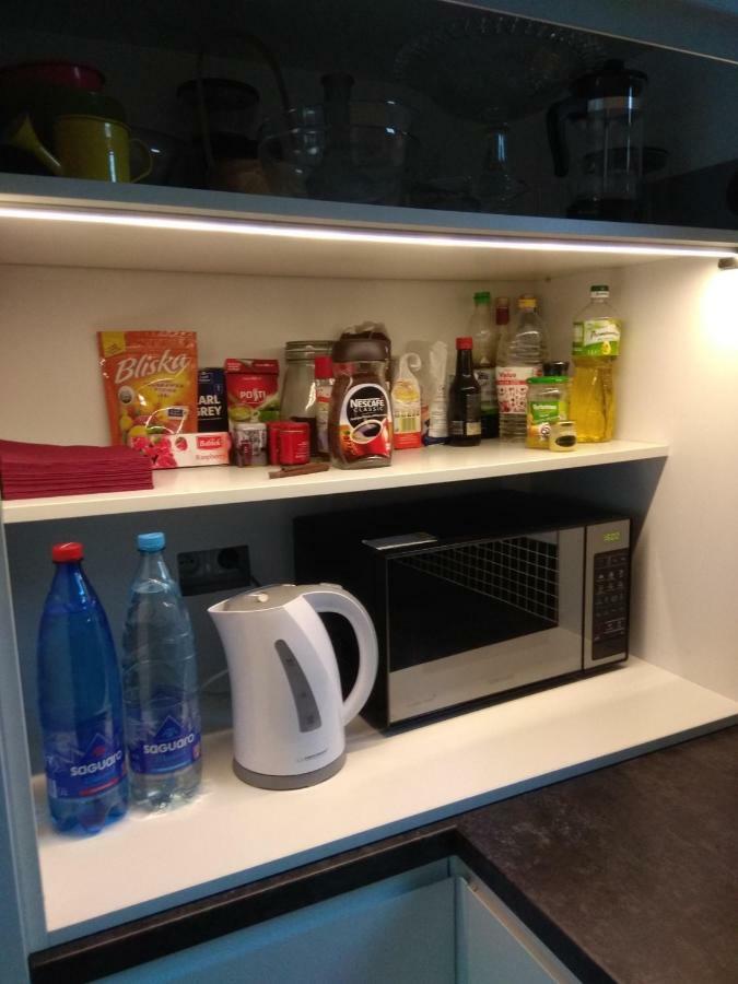 Luxury Apartment With Own Parking Chorzów Extérieur photo